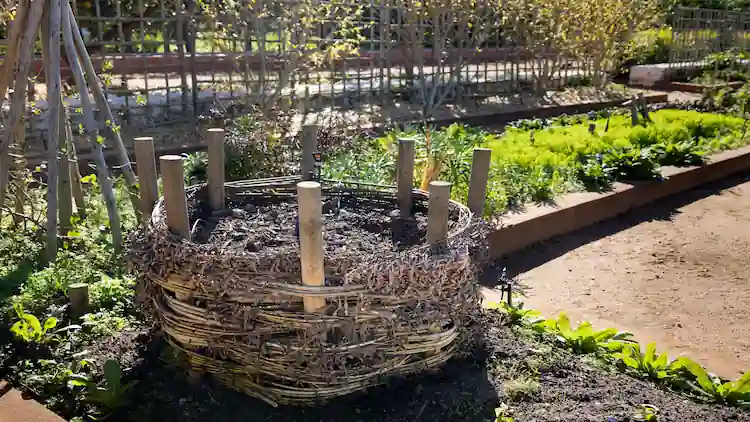 how to make compost at home