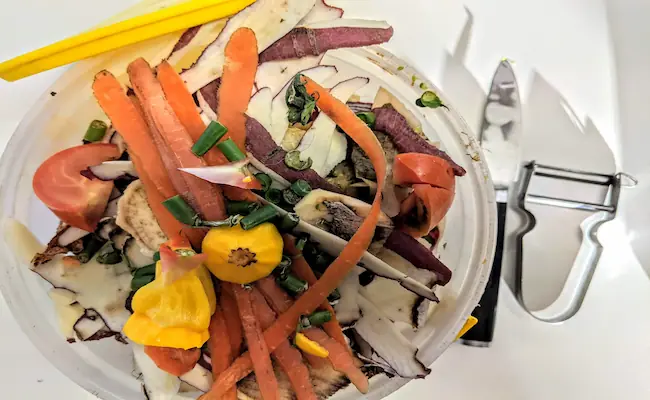 How to Make Compost at Home: A Complete Step-by-Step Guide 2 how to make compost at home