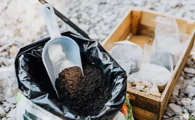 The Truth About Composting Dog Poop for a Healthy Ornamental Lawn 2 how to compost dog poop safely for ornamental lawn