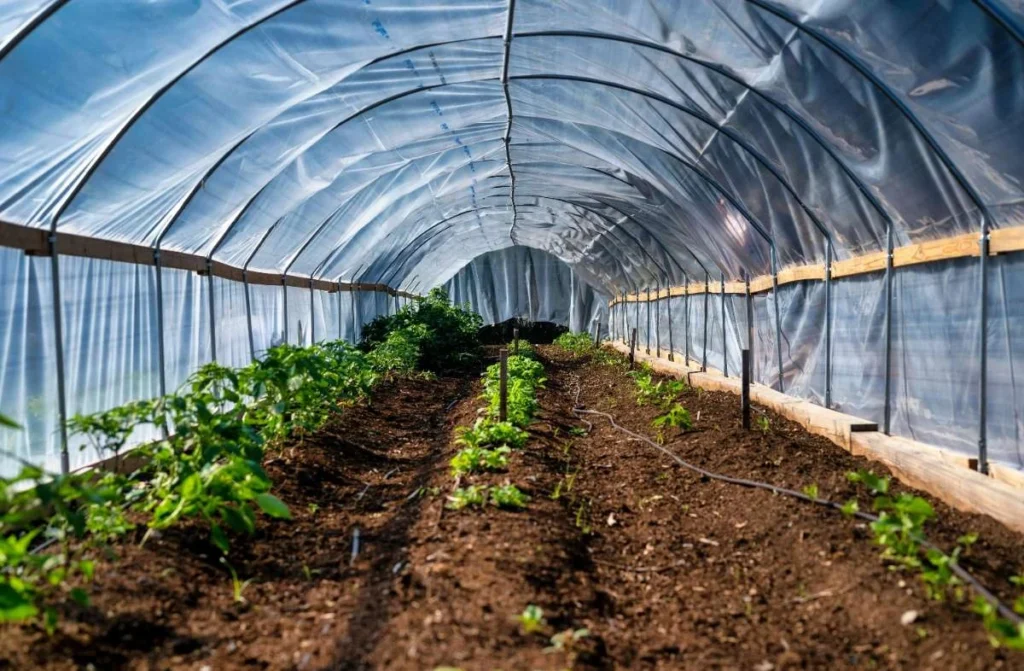 cheap ways to heat a greenhouse in winter