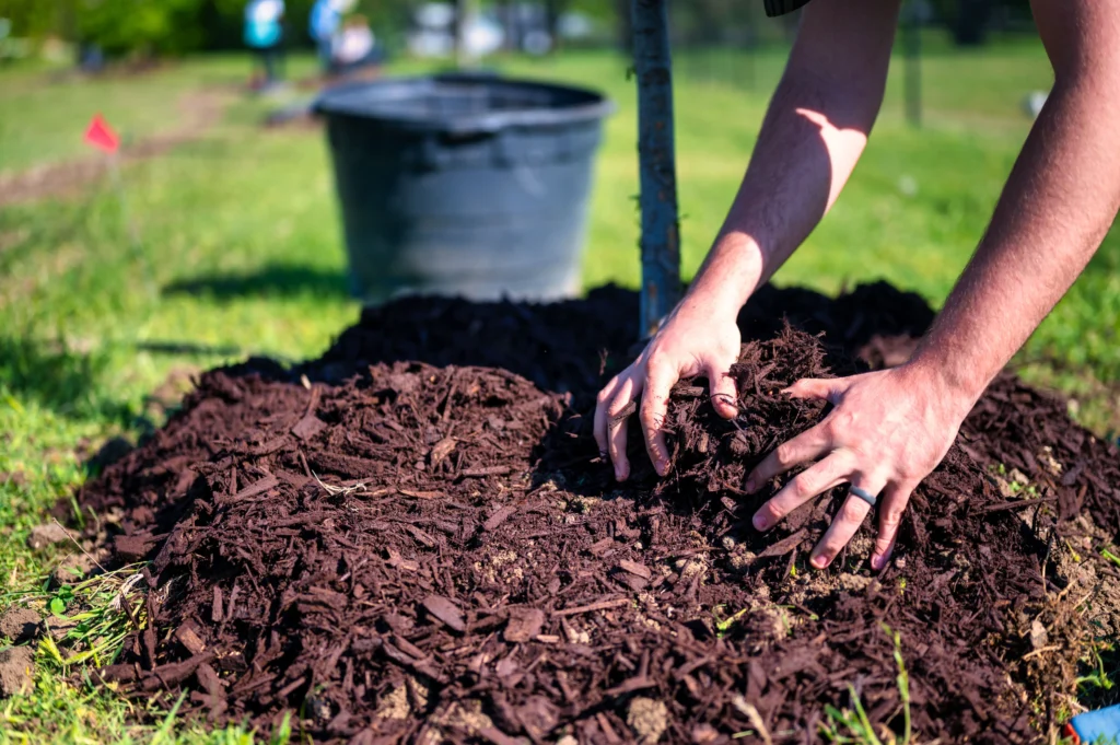 best mulch for winter plant protection