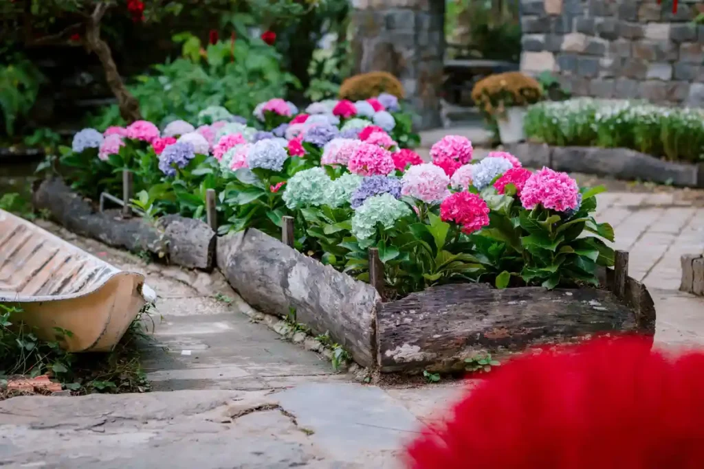 How to Winterize Raised Garden Beds