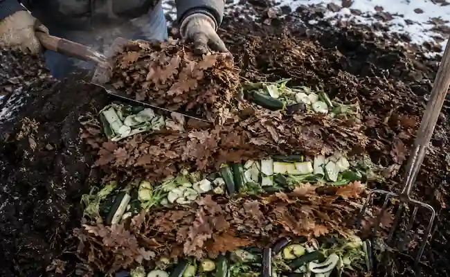 how to speed up compost decomposition in winter