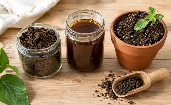 how to use worm castings as fertilizer inside house