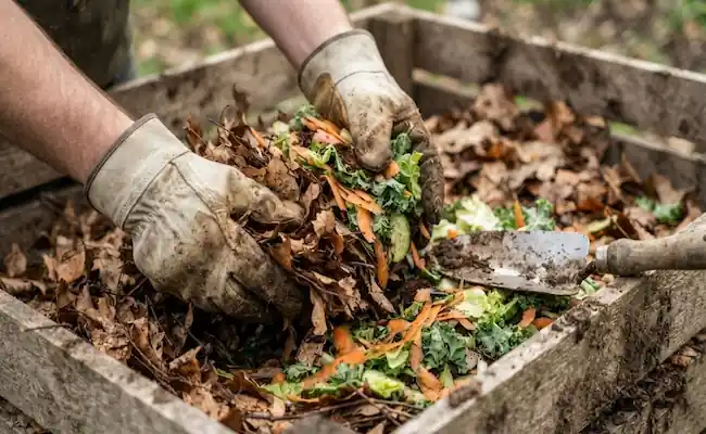 Build a Compost Pile From Scratch: A No-Nonsense Backyard Guide 3 how to start a compost pile from scratch