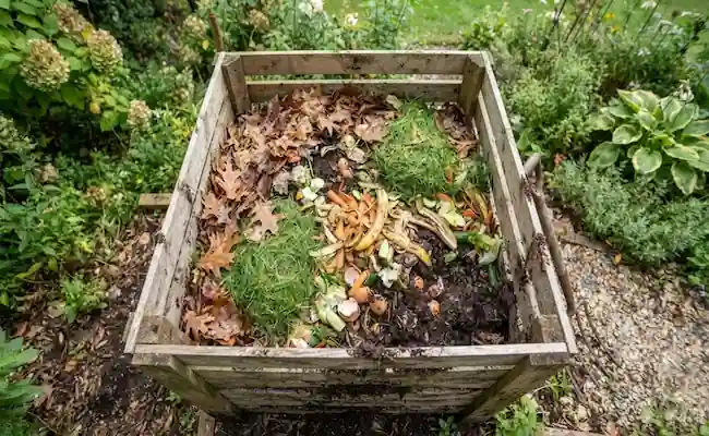 green to brown compost ratio