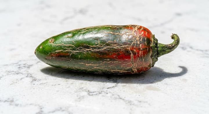 When To Pick Jalapenos: 6 Signs for Best Flavor! 6 how to pick jalapenos